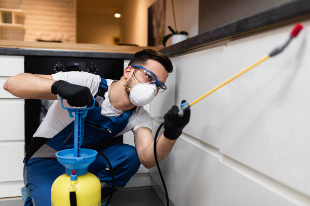 Best Wasp Removal Services  in Franklin, NJ