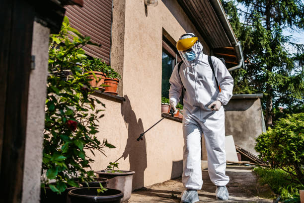 Best Flea Control Services  in Franklin, NJ
