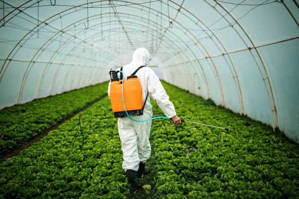 Reliable Franklin, NJ Pest Control Solutions