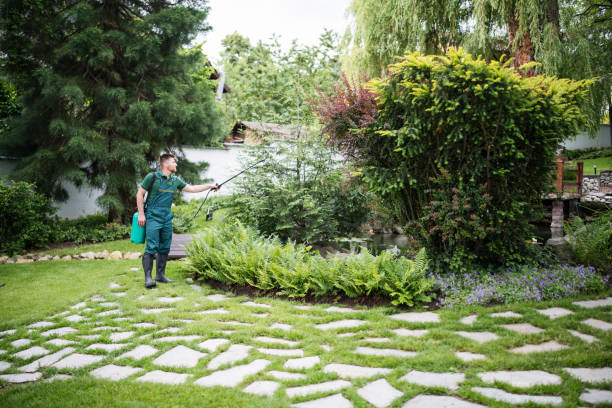 Best Exterminator Services  in Franklin, NJ