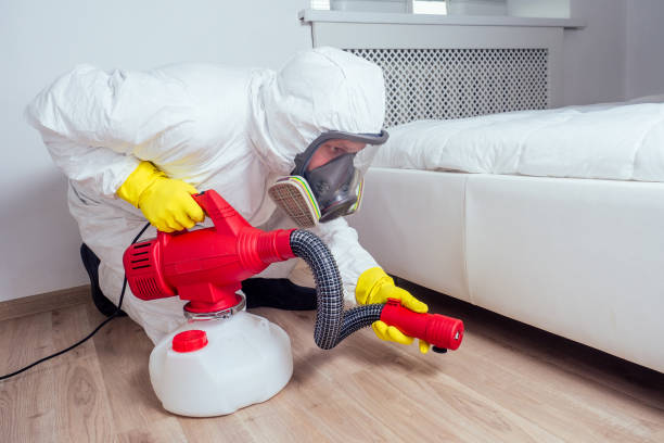 Best Termite Control Services  in Franklin, NJ