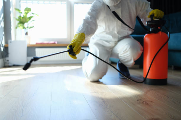 Best Affordable Pest Control Services  in Franklin, NJ