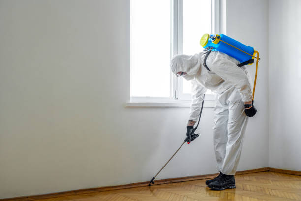 Best Local Pest Control Services  in Franklin, NJ