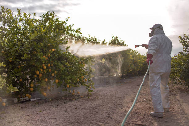 Best Best Pest Control Companies  in Franklin, NJ