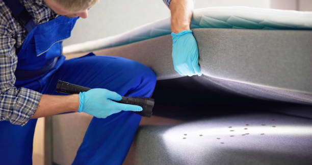 Best Rat Extermination Near Me  in Franklin, NJ