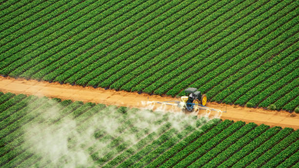 Best Pest Removal Services  in Franklin, NJ