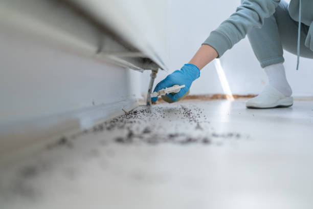 Best Pest Control Cost  in Franklin, NJ
