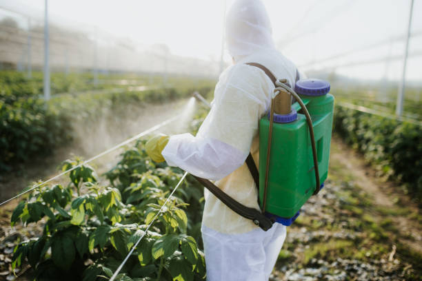 Best Pest Prevention Services  in Franklin, NJ